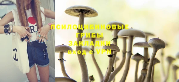 а пвп мука Алзамай