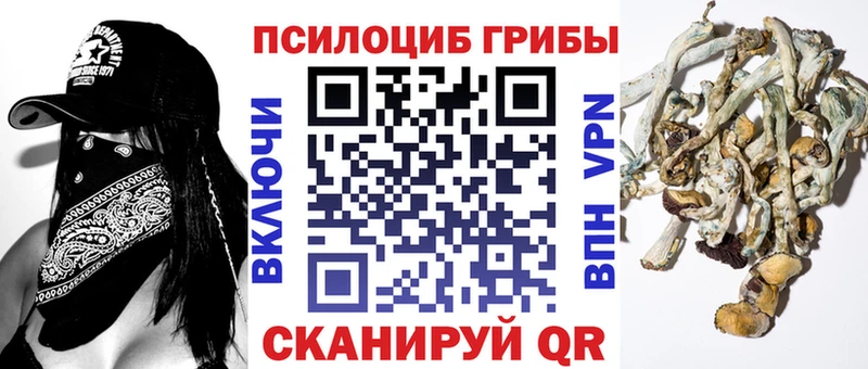 Галлюциногенные грибы мухоморы Ардатов
